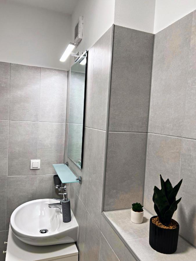 Panoramic Forest View Apartment Dumbravita  Exteriér fotografie